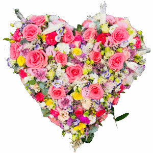 Coeurs