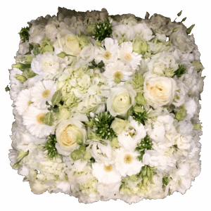 Coussin Sable d'or