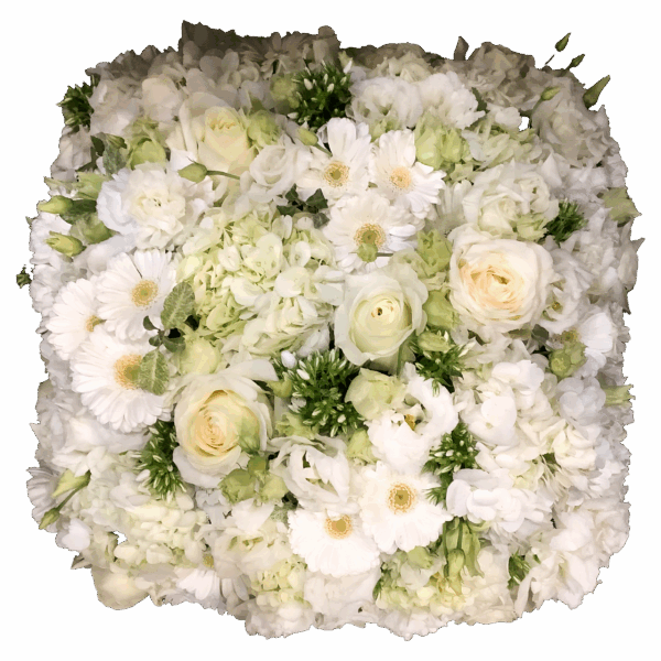 Coussin Sable d'or