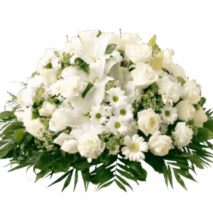 Coussin Emeraude