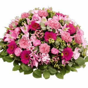 Coussin Douceur